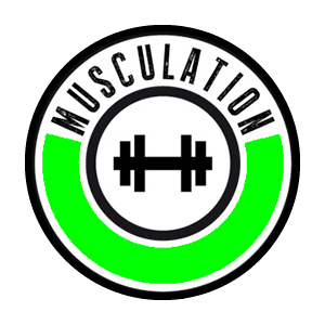 Musculation